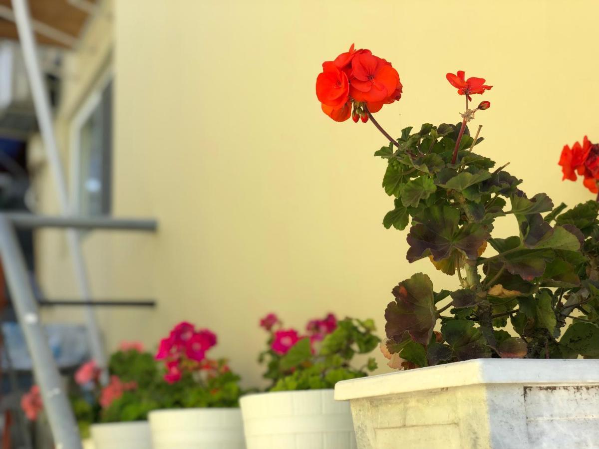 Guest House Paskal Balchik Esterno foto
