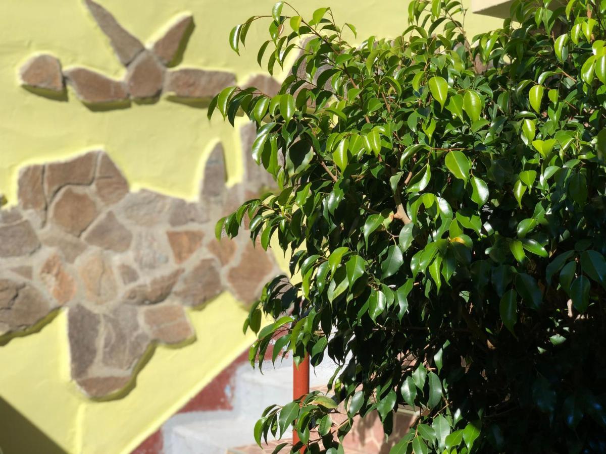 Guest House Paskal Balchik Esterno foto